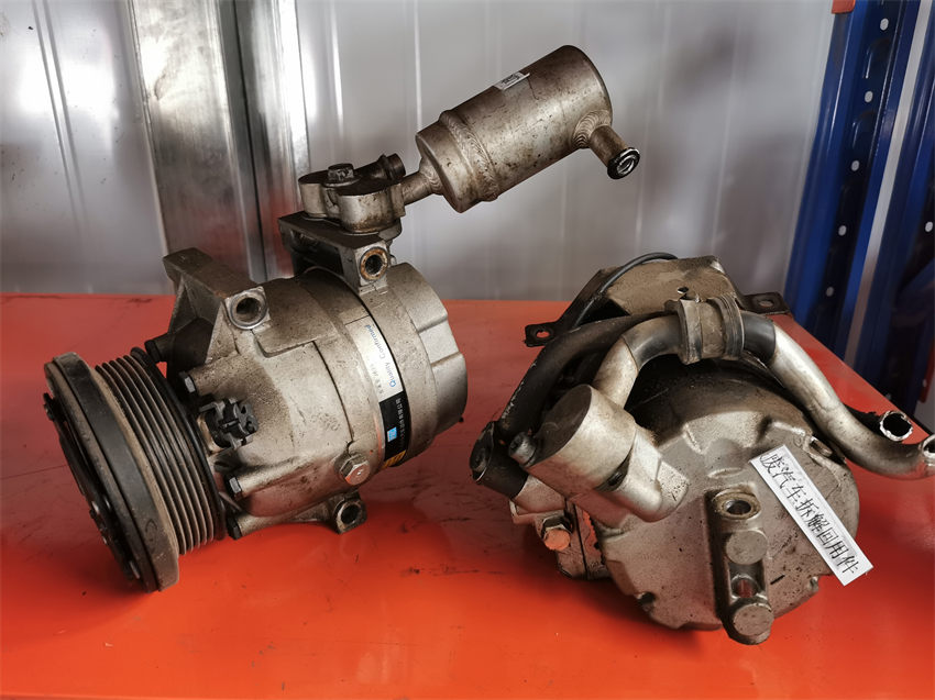 ���{���s�C